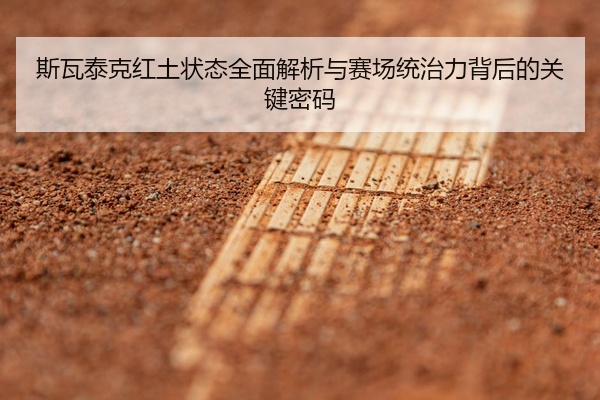 斯瓦泰克红土状态全面解析与赛场统治力背后的关键密码